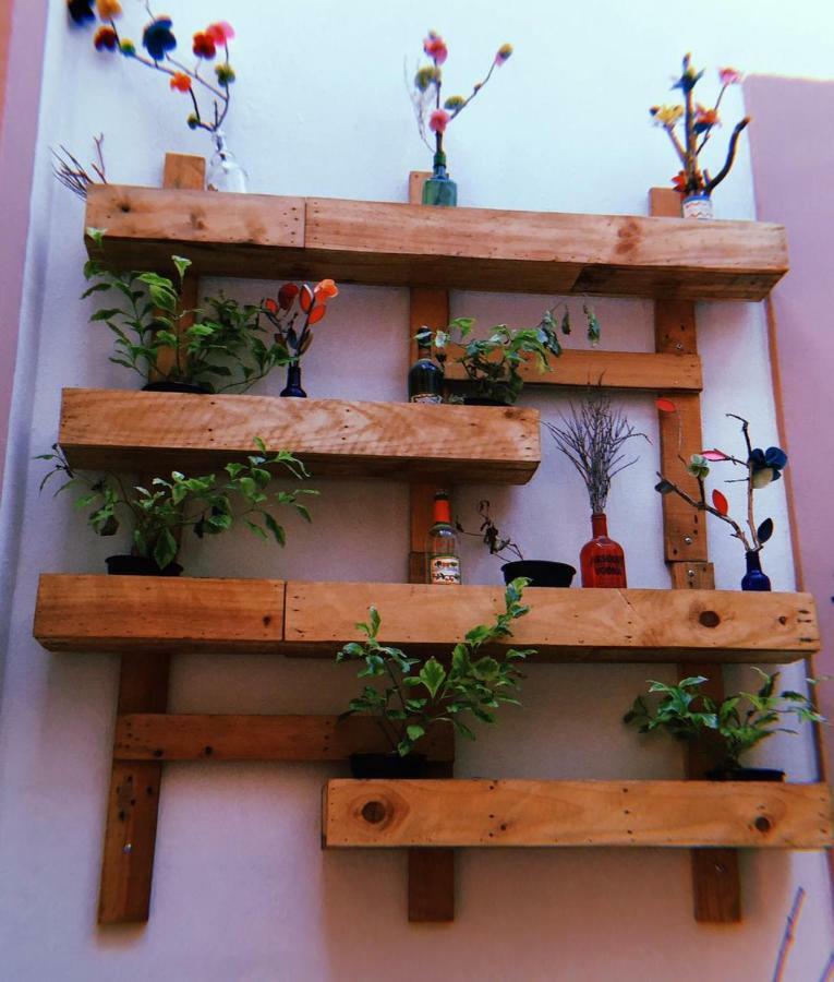 Maria Bonita Hostel Guadalajara Kültér fotó
