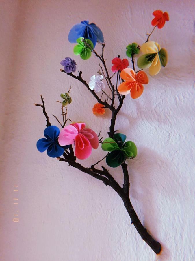Maria Bonita Hostel Guadalajara Kültér fotó